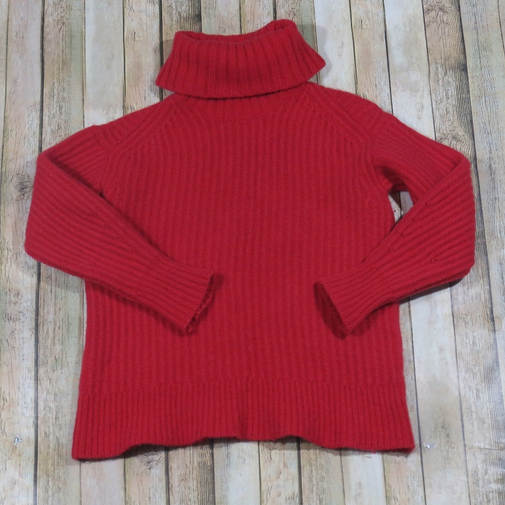 Everlane Italian Soft Wool Rib Turtleneck Sweater